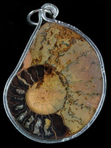 Moroccan Ammonite Fossil Pendant #58390